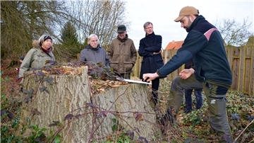 Mit Förster im Wald