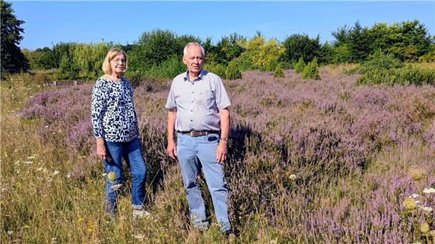 Eine Frau und ein Mann stehen auf einer blühenden Heidefläche im Kulturlandschaftsgarten Geestenseth. Um sie herum wachsen lilafarbene Heidepflanzen und Wildblumen, im Hintergrund sind Büsche und Bäume zu sehen.