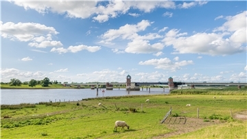 Schafe fressen auf einer Wiese vor dem Fluss Leda in Ostfriesland.