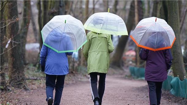 Wechselhaftes Wochenende - Schauer, Gewitter und Wind Schauer, Gewitter und viel Wind - ein unbeständiges Septemberwochenende steht bevor. (Symbolbild)