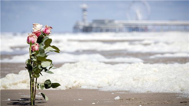 Scheveningen: Rosen stecken im Sand am Strand von Scheveningen. Das im Text beschriebene Bild steht aus rechltichen Gründen leider nicht zur Verfügung.