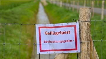 Schilder, die nun auch im Landkreis Cuxhaven zu sehen sein werden. Die Vogelgrippe breitet sich rasant aus.