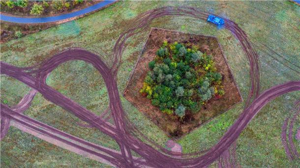 Bilder des Tages Schlangenlinien für besseren Artenschutz: Mit einem Bergepanzer wird am Stadtrand von Schwerin eine Natur-Ausgleichsfläche für die Ansiedlung von Reptilien vorbereitet.