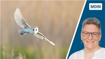 links Schleiereule im Flug, rechts Frau in weißer Bluse mit Brille