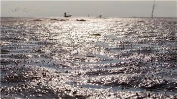 Schlick an der Wurster Nordseeküste.