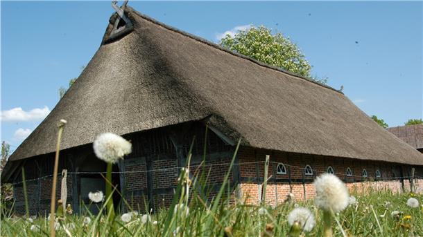 Schmuckstück: Das mit rund 460 Jahren älteste Bauernhaus des Landkreises Rotenburg in Ostereistedt.
