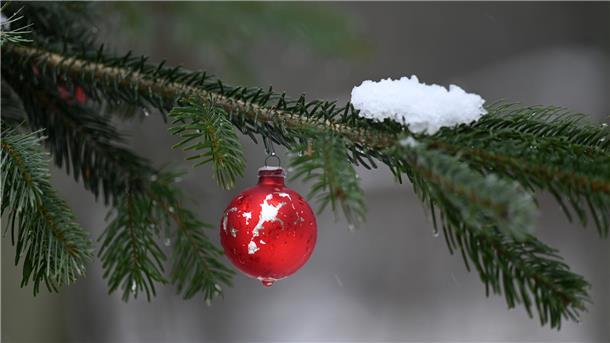 Ein geschmückter Weihnachtsbaum im Wald mit etwas Schnee. 
