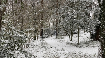 Schnee hat seinen ganz eigenen Reiz. Kinder verbinden mit Schnee eine ganz andere Bedeutung als Erwachsene