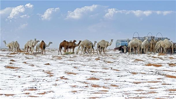 Schnee in Saudi-Arabien? Muss Zeven in Kürze mit dem Wintereinbruch rechnen?