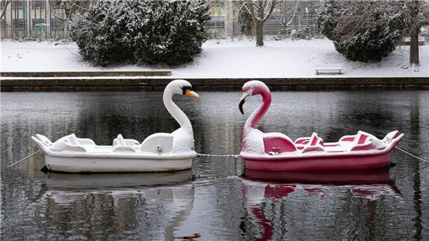 Warnung vor Unwetter: Schnee und Eis erwartet Schneebedeckt: Zwei Tretboote in Form eines Schwans und eines Flamingos auf der Havel in Potsdam.