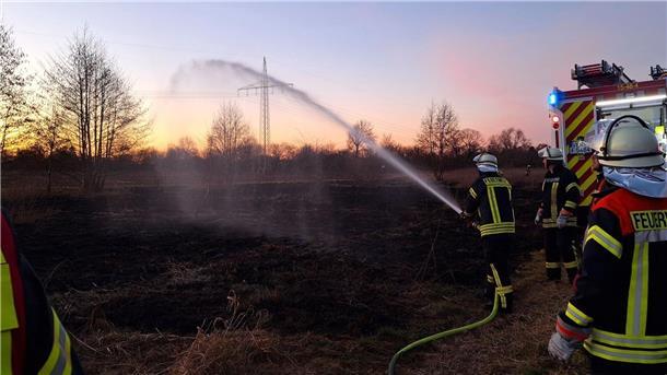 Ermittlungen nach Flächenbrand: 300 Quadratmeter bei Hellwege in Flammen Drei Männer in schwarz-gelben Uniformen und Helmen