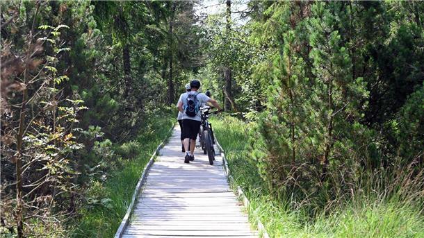 Zehn Klima-Signale, die - ein bisschen - Hoffnung geben Schön draußen: Fahrradfahrer gehen auf einem Holzsteg durch das Naturschutzgebiet Kaltenbronn mit seinem Moor.