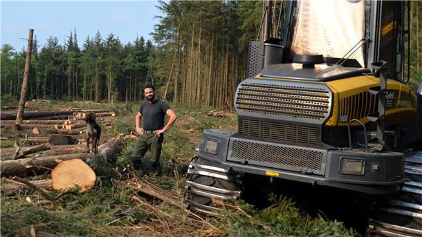 Bederkesa: Hunderte Bäume fallen, damit die Natur sich entfalten kann Schon am ersten Tag hat der Harvester ganze Arbeit geleistet. Tobias Loewer macht sich ein Bild von den Rodungsarbeiten.