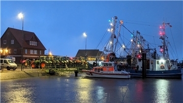 Darum fand am Sonntag eine Mahnwache in Fedderwardersiel statt Traktoren und Kutter in einem Hafen