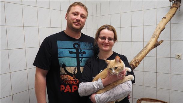 Zwei Tierheim-Leiter mit einer Katze