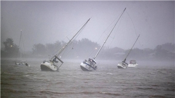 Segelboote werden in der Roberts Bay im Westen Floridas umhergeweht.