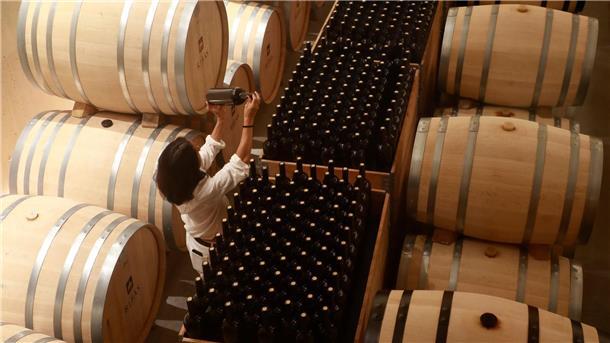 EU zahlt Millionen: Hochwertiger Wein zu Industriealkohol Seit Anfang 2023 wurden mehr als 105 Millionen Euro an EU-Geldern für die sogenannte Krisendestillation von europäischem Wein gezahlt.