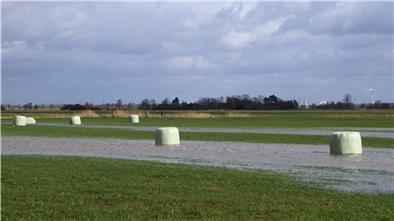 Seit vier Wochen regnet es fast jeden Tag. Das Wasser staut sich auf manchen Wiesen und Weiden.
