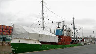 Seit Wochen ist das Achterschiff der „Gera“ eingerüstet. Unter der Plane arbeiten Museumsmitarbeiter mit Hochdruck an der Decksversiegelung.