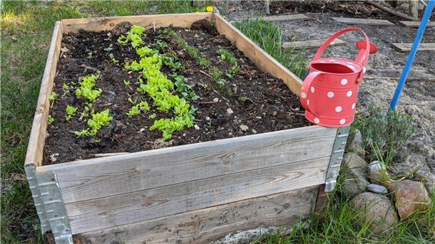 Selbst gebautes Hochbeet mit Palettenaufsatzrahmen.