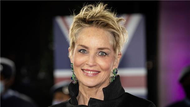 Stone: „Basic Instinct“-Rolle kostete mich Sorgerecht Sharon Stone bei den Pride of Britain Awards 2021.