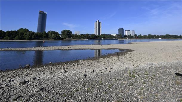 Ein Schiff fährt auf dem Rhein vor dem "Langen Eugen".