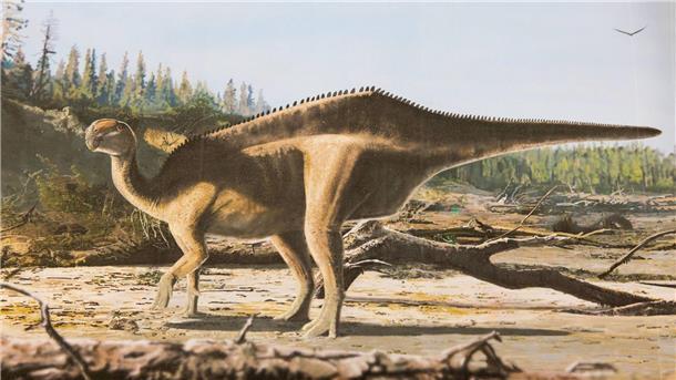 Rätsel auf dem Dino-Rücken So könnte der neu entdeckte Dinosaurier ausgesehen haben.
