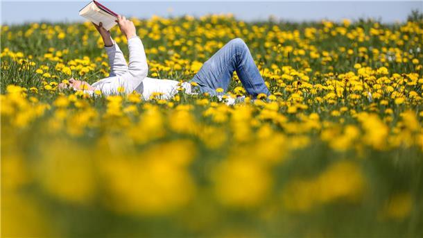 Das Foto zeigt einen auf einer Butterblumenwiese liegenden Mann, wie er ein Buch liest. 