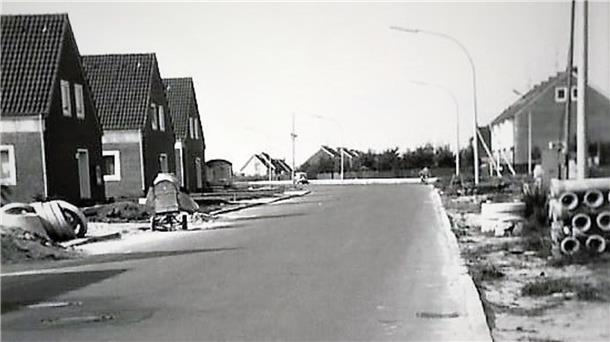 Verschworene Gemeinschaft: Siedlergemeinschaft Auf der Bult/Am Überlandwerk Stralsunder Straße 1962