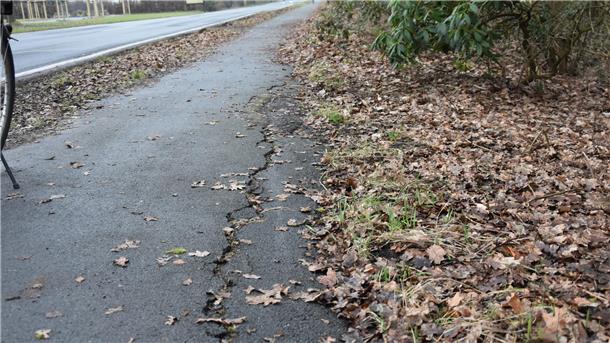 Schadhafte Radwege in Tiste: Senioren haben Angst vor schweren Stürzen Das Foto zeigt den Radweg mit eingebrochener Asphaltdecke.