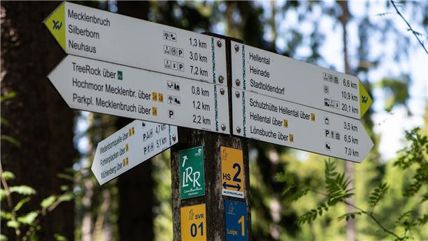 Solange Corona Fernreisen ausbremst, suchen viele Menschen im Norden Erholung beim Wandern. Wandervereine und Touristikzentralen berichten von steigendem Interesse.