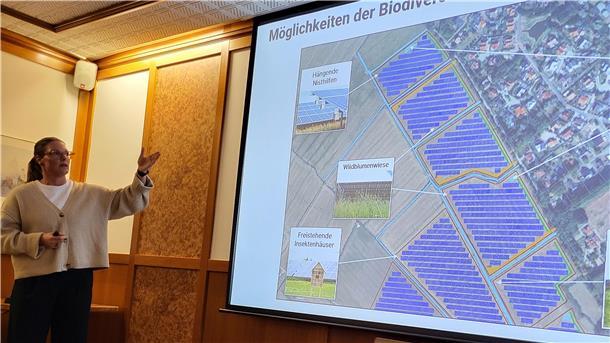 Gegner des Solarparks können nicht besänftigt werden Solarblick-Projektleiterin Rena Paziorek erläutert ein Projekt in Abbehausen