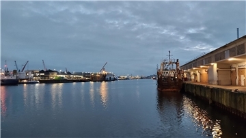  Neuer Fischereihafen in Cuxhaven 
