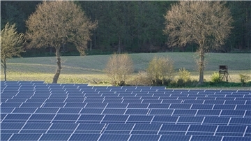 Ein Solarpark soll in Sellstedt Strom für ein Neubaugebiet liefern. Mit Hilfe von Wasserstoff könnte der Strom gespeichert und auch in den Wintermonaten genutzt werden. 