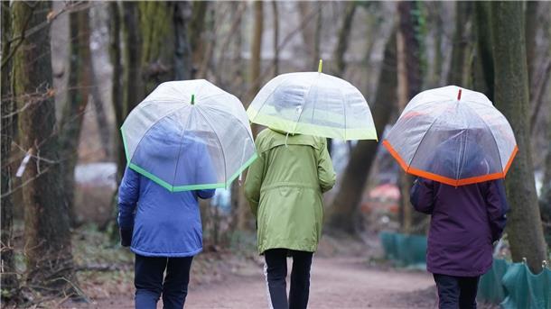 Spaziergang mit Regenschirmen in Hamburg.