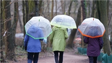 Spaziergang mit Regenschirmen in Hamburg.