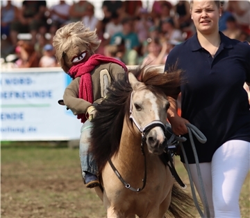 Sportlich, nervenstark und intelligent: Die Fangemeinde des Deutschen Classic-Ponys schwört auf die winzigen Pferde. Bei der Tarmstedter Ausstellung begeistert der „Ostfriesische Shettystammtisch“ mit seinem Schaubild.