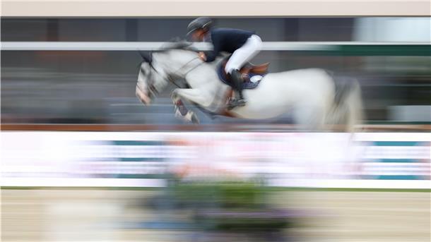 Springreiten: Das Pferde im Training gebarrt werden, ist ein schwerwiegender Vorwurf.
