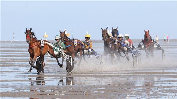 Spritzige Rennen - das lieben die Zuschauer am Wattrennen in Cuxhaven-Dihnen.