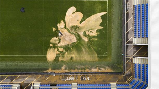 Zu viel Geld: AFC Wimbledon bittet um Ende von Spendenaktion Starke Regenfälle und Überschwemmungen verursachten ein Erdloch auf dem Rasen des AFC Wimbledon.