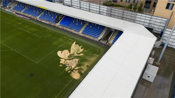 Zu viel Geld: AFC Wimbledon bittet um Ende von Spendenaktion Starke Regenfälle und Überschwemmungen verursachten ein Erdloch auf dem Rasen des AFC Wimbledon.