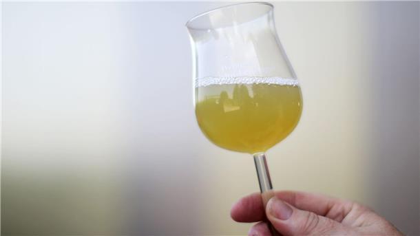 Süffig, süß, spritzig - die Federweißer-Saison beginnt Süffig und spritzig - bald wird wieder Federweißer getrunken. (Archivbild)