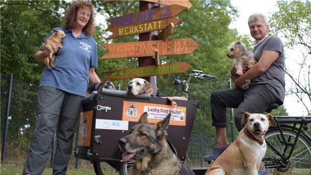 Bis zu zehn Hunde-Senioren leben im Lucky Dog Hostel bei Susanne Böttcher und Holger Lindbüchl in Hoope (Kreis Cuxhaven).
