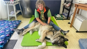 Frau sitzt am Boden und ein großer Hund liegt vor ihr.