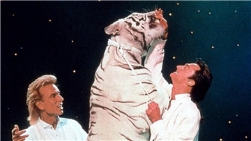 Szenen wie diese machten das Magier-Duo Siegfried und Roy weltberühmt. Siegfried Fischbacher stammt gebürtig aus Rosenheim, Roy Horn aus Nordenham.