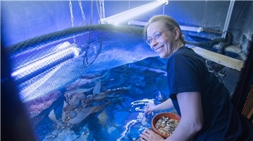 Junge Frau vor einem Aquarium. Taissa Faust begrüßt als neue Leiterin die Besucher im Nordsee-Aquarium des Zoos am Meer.