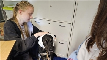 Teilnehmerin Lena legt Hund „Puma“ einen Kopfverband an.