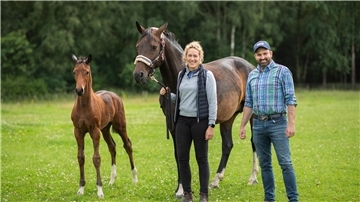 Zwei Pferde, ein Mann und eine Frau auf einer Wiese.
