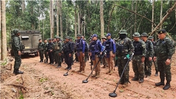 Thailand hatte erst kürzlich Landminen in der umstrittenen Grenzregion entdeckt. (Archivfoto)