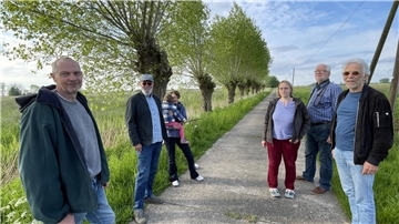 Eine Gruppe von Menschen vor Kopfpappeln in Butjadingen 